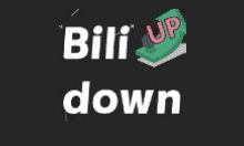 Bilidown(B站视频下载工具) v1.2.7 中文绿色版下载