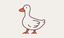 文件蜈蚣高级版 v2.82 - 免费网络文件下载管理器