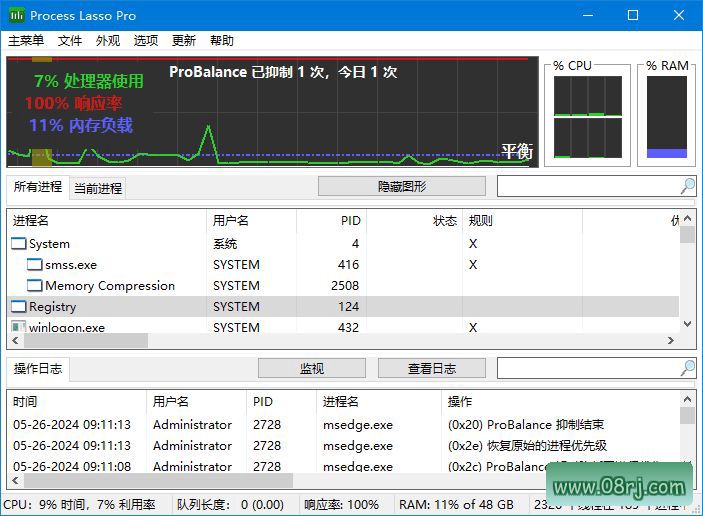 Process Lasso(进程优化工具) Pro v14.1.0.20 多语便携版