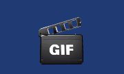 ThunderSoft Video to GIF Converter v5.5.0 便携版 - 视频转GIF工具下载