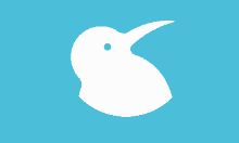 Kiwi浏览器下载 v124.0.6 最新版 - 安卓iOS移动浏览器