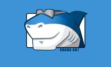 STANDARD Codecs Portable 64位便携版 v18.0.7 - 音视频解码器下载