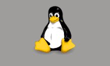 Linux是什么？免费下载与安装教程详解