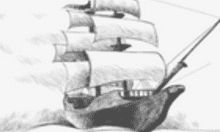 比特舟Pro v1.3.9 免费版 - 资源种子搜索器APP下载