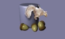 SQuirrel SQL Client v4.5.1 中文免费版 - 开源SQL数据库引擎