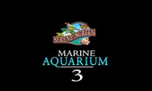 SereneScreen Marine Aquarium 3D热带鱼屏保 v3.3.6381 免费下载
