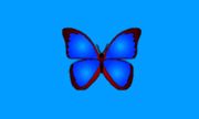 bkViewer v8.5d 数码照片浏览器中文绿色版下载 - 免费 RAW 格式浏览器