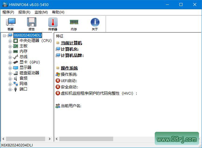 HWiNFO(专业系统信息检测工具) v8.03.5450 中文绿色版