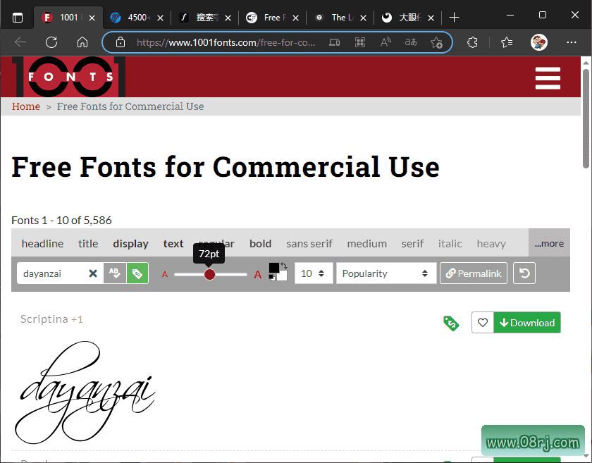 1001 Fonts