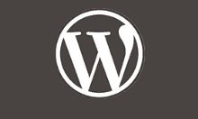 WordPress文章标题自定义颜色技巧分享（超详细）