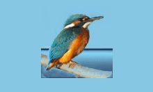 Highlight v4.17 代码高亮工具 中文绿色版下载