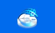 WonderFox DVD Video Converter v31.5 多语便携版-专业的DVD视频转换软件