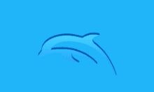 Dolphin模拟器 v5.0.21450 中文绿色版下载