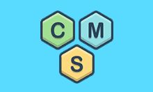 WordPress vs Joomla：2024年最佳CMS对比指南