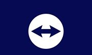 TeamViewer(远程控制软件) v15.78.3 官方绿色版免费下载