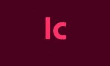 Adobe InCopy 2024破解版下载 v19.5 中文版