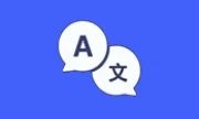 CopyTranslator v12.1.0 多语言翻译工具 中文绿色版