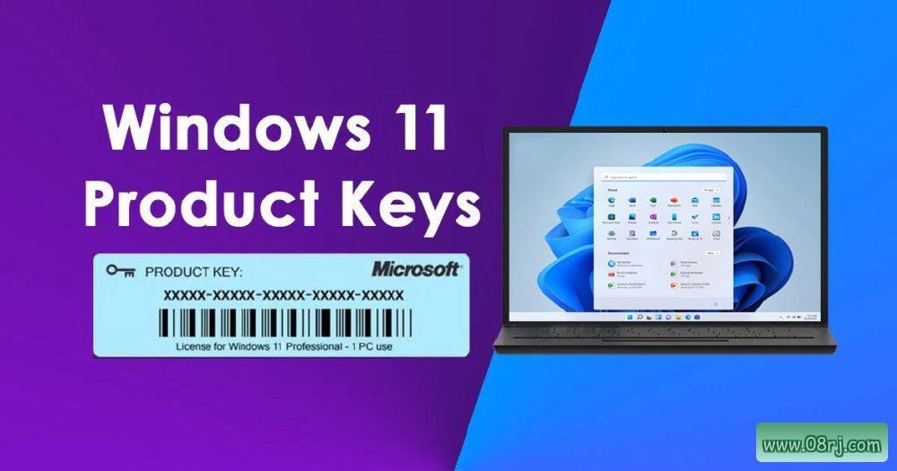 Windows 11 许可证