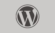 WordPress v6.9.4 中文版 彻底关闭自动更新优化代码教程